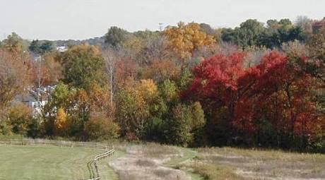 Fall Foliage - Norristown Farm Park - Side Panel