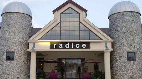 Radice
