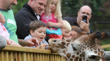 Elmwood Park Zoo Header