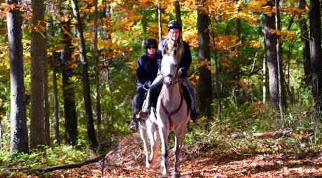 Horseback Riding in Evansburg State PArk