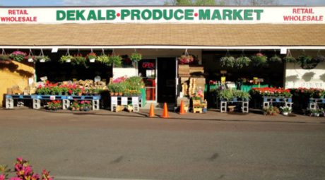 Exterior view of the Dekalb Produce Market in Blue Bell, PA. Hanging plants are placed in front of the entrance to the store.