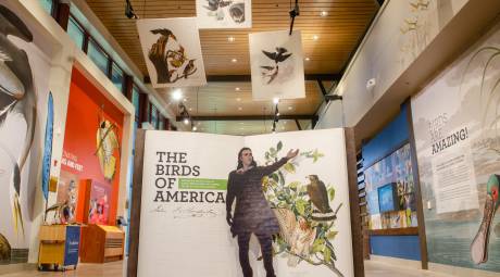 John James Audubon Center