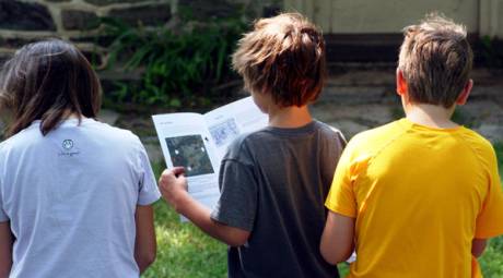 Summer Programming - Junior Ranger Program