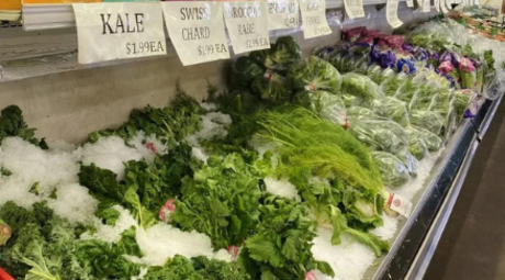 Bundles of fresh green kale are placed on top of ice shavings under a sign reading KALE $1.99/EA. Sweet chard, broccoli, spinach and lettuce are laying on ice shavings in the distance.