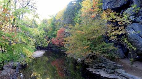 Pennypack Park