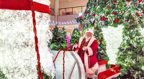 willow grove park mall santa 2019