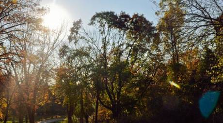 Fall Foliage - Fort Washington - Side Panel