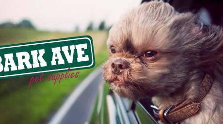 Dog with head out window and Bark Ave Pet Supplies logo