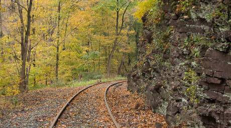 Fall Foliage - Unique Ways