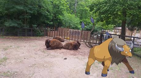 ATTRACTIONS - POKEMON GO