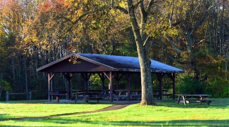 TOP PICNIC SPOTS - EVANSBURG STATE PARK