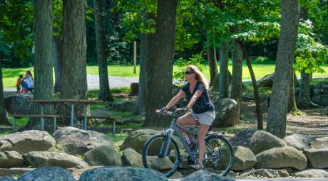 TOP PICNIC SPOTS - GREEN LANE PARK