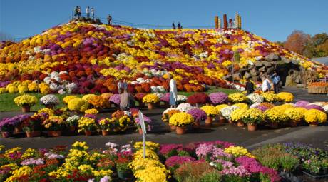 GARDENS - OTT'S EXOTIC PLANTS