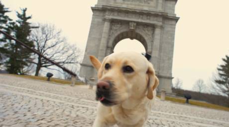 Attractions - Pet Friendly - Valley Forge
