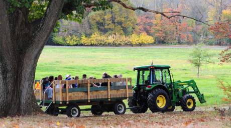TOP FALL FAIRS, FESTIVALS AND CONCERTS