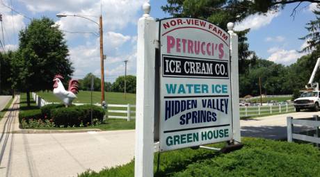 PETRUCCI'S ICE CREAM