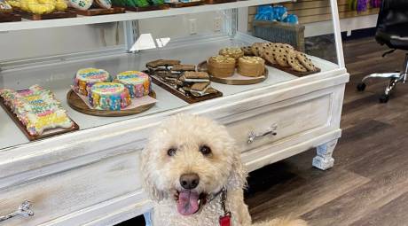 Dog in front of Farmer's Barket Bakery Case