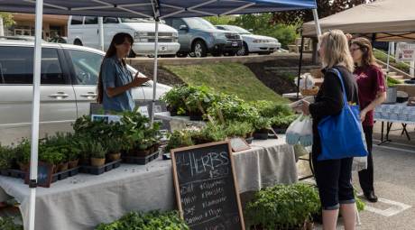 The Guide to Montgomery County Farmers Markets - Visit Montgomery