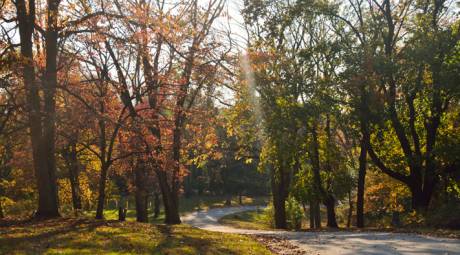 TRAILS - WISSAHICKON GREEN RIBBON TRAIL