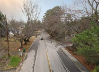 Tilly Mill Rd Trail