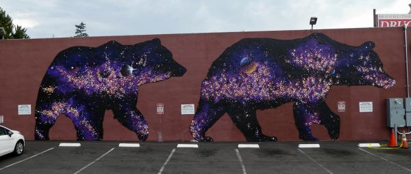 Space Bears Mural