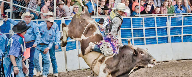 Steamboat Pro Rodeo Series Steamboat Springs Chamber