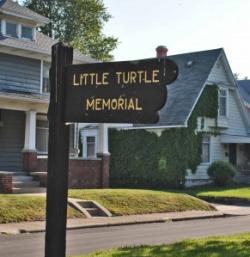Little Turtle Sign 292x300