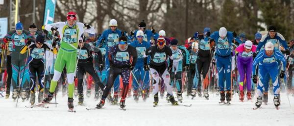 Group of cross-country skiers