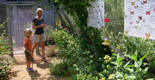 Butterfly house and garden at The Heard Museum