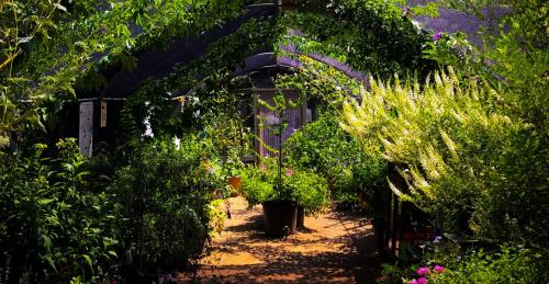 Photo of Heard Natural Science Museum Butterfly Gardens - by @kellenduplantis