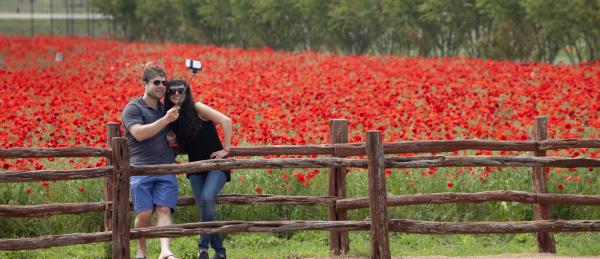 Couple Takes  a Selfie in front of flower field at Wildseed Farms in Fredericksburg