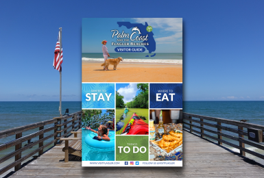 visitors guide pier