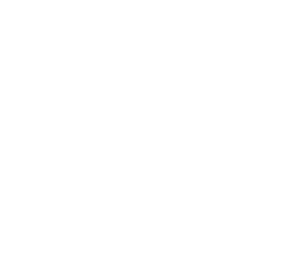 Discover Lehigh Valley Stacked White Logo