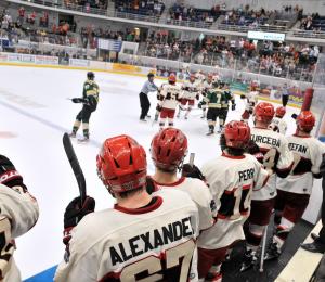 Huntsville Havoc