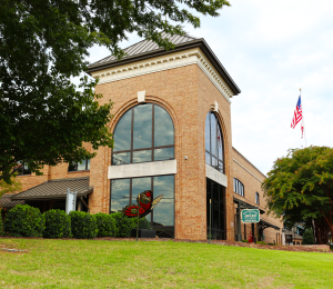 cove eye care huntsville