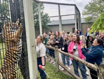 Tiger training demonstration at Tanganyika