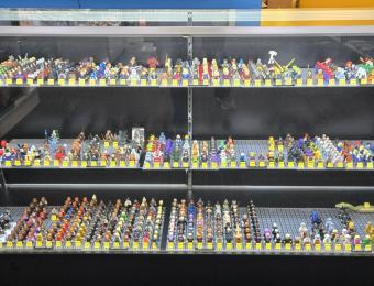 Bricks & Minifigs 1