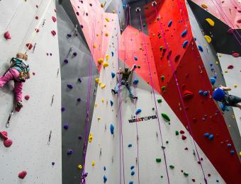 Bliss cllimbing the wall Visit Wichita