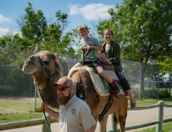 Family with Camel