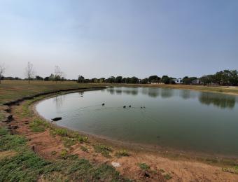 Harrison Park Pond