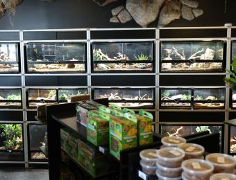 Exotic Pets 2