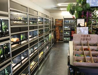 Exotic Pets/Wichita Reptile Zoo 1