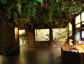 Exotic Pets/Wichita Reptile Zoo 3