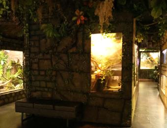Exotic Pets/Wichita Reptile Zoo 4