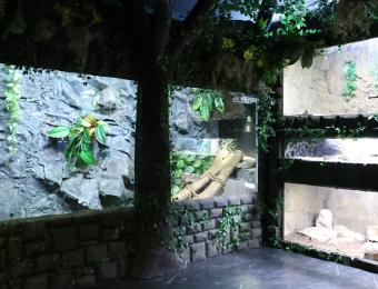 Exotic Pets/Wichita Reptile Zoo 5