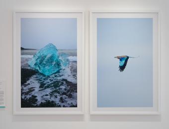 Maven Gallery 4