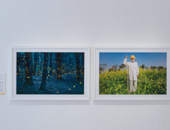 Maven Gallery 6
