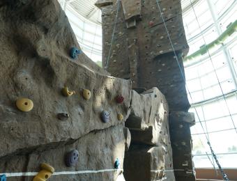 Rock Climbing Wall Northwest YMCA