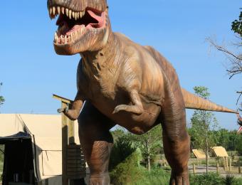 Field Station t-rex Visit Wichita
