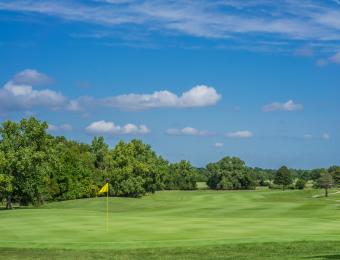 Tex Consolver Golf Course Yellow Flag
